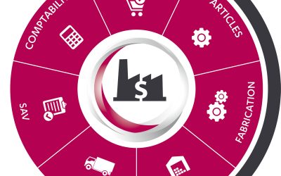 Logiciel de gestion R-MES